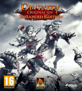 Divinity Original Sin Enhanced Edition 