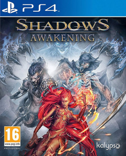 Shadows Awakening PS4