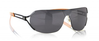 SteelSeries Desmo Onyx Sunglasses Cadouri