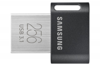 Samsung MUF-256AB memorii flash USB 256 Giga Bites USB Tip-A 3.2 Gen 1 (3.1 Gen 1) Gri, Argint PC