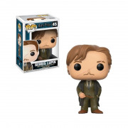 Funko Pop! Harry Potter: Remus Lupin #45 Vinyl Figura 