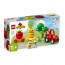 LEGO DUPLO: Tractorul cu fructe și legume (10982) thumbnail