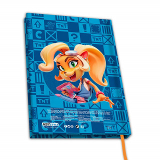 Crash Bandicoot - Notebook Cadouri