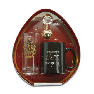 HARRY POTTER - Pck Glass + Keychain 3D + Mug HC "Hogwarts" EXCLUSIVE Cadouri