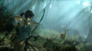 Tomb Raider PC