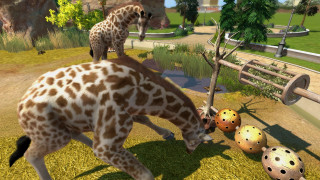 Zoo Tycoon (cu suport Kinect) Xbox One