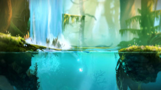 Ori and the Blind Forest Limited Edition PC