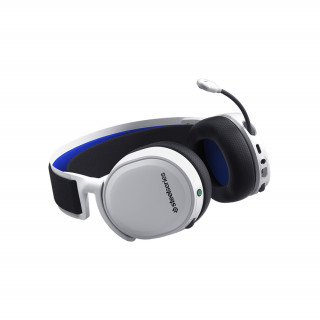 SteelSeries Arctis 7P + wireless headset PC