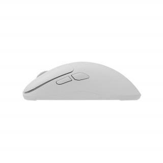 WHITE SHARK AERO-W WGM-5015W, 10.000 dpi, 6 butoane, Mouse de gaming, alb PC