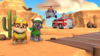 Paw Patrol: On Roll Nintendo Switch